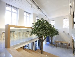 OLEVENE image - DSC_-